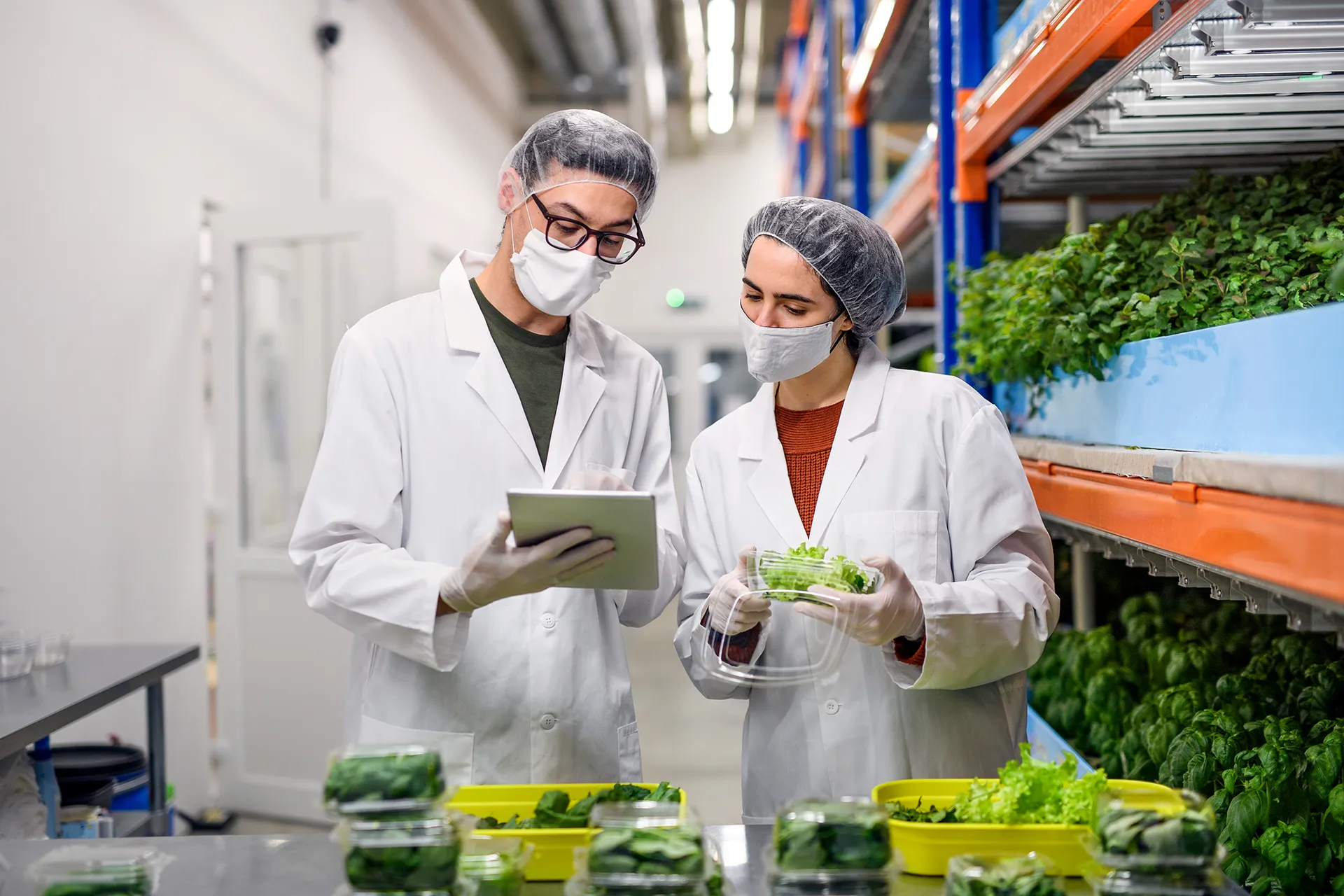 food-safety-brcgs-01 Why Europeans Value the BRCGS Broker Certificate in Food Trade