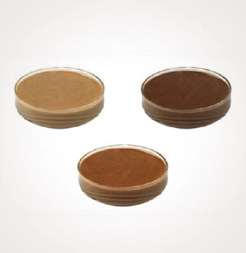 Wholesale hazelnut puree
