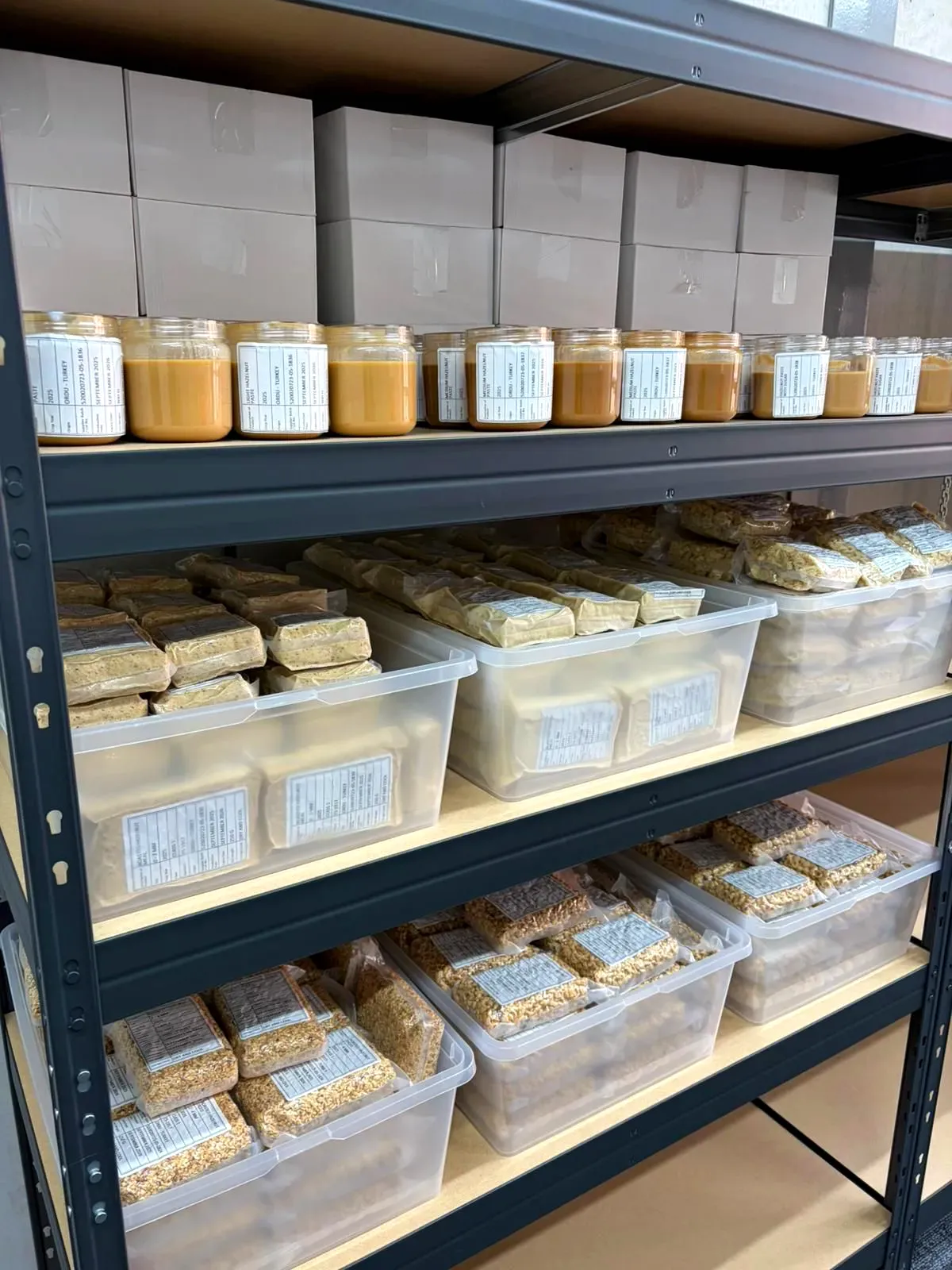 wholesale Samples of hazelnuts